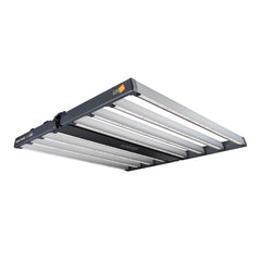 LEC / LEP / LED