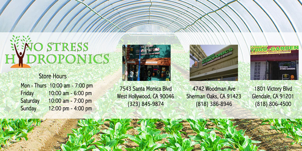 Store Hours