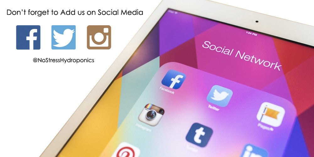 Social Media